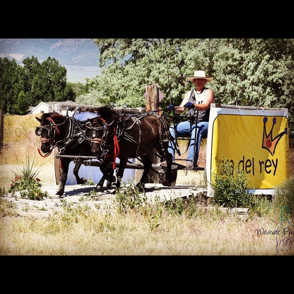 Meet your Posher, Jennifer - Picture 6 of 6